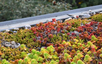 the cost of Kilmarnock green roof installation