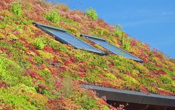 Kilmarnock living roof systems
